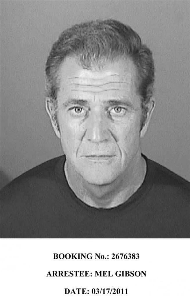 Lethal Weapon Actor Mel Gibson Drunk Mugshot Arrest 300 Piece Jigsaw Puzzle