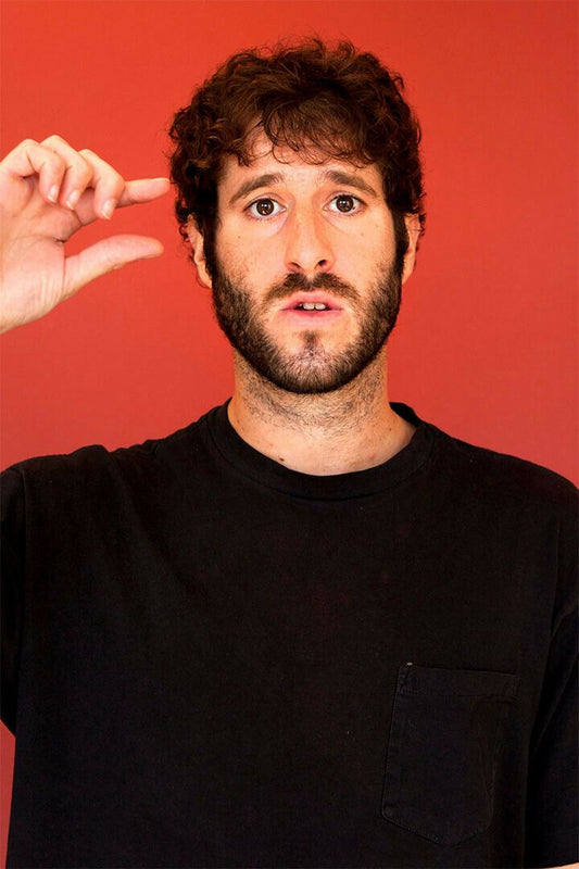 Lil Dicky Hip Hop Rapper Music Singer Painting Wall Art Home Poster