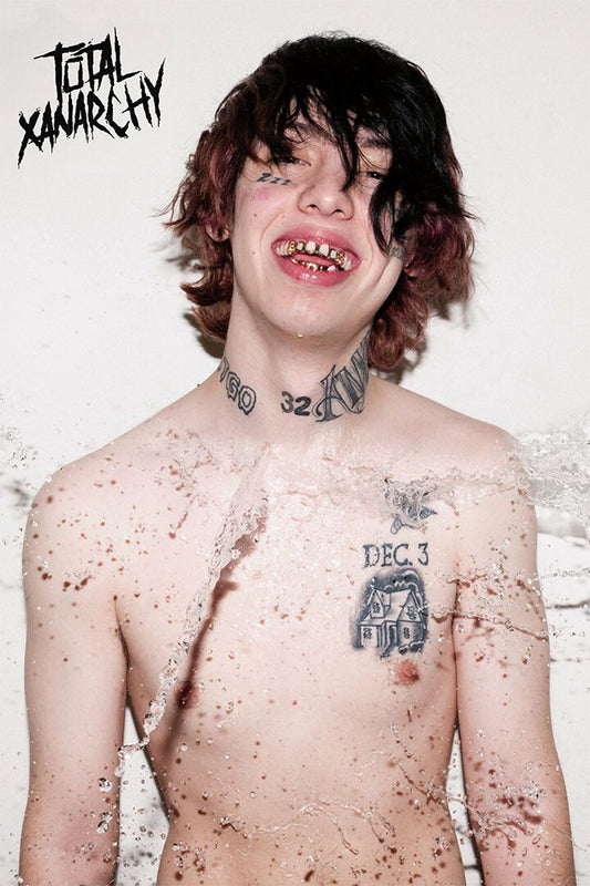 Lil Xan Total Xanarchy 2020 Rap Album Singer Wall Art Home Decor Poster