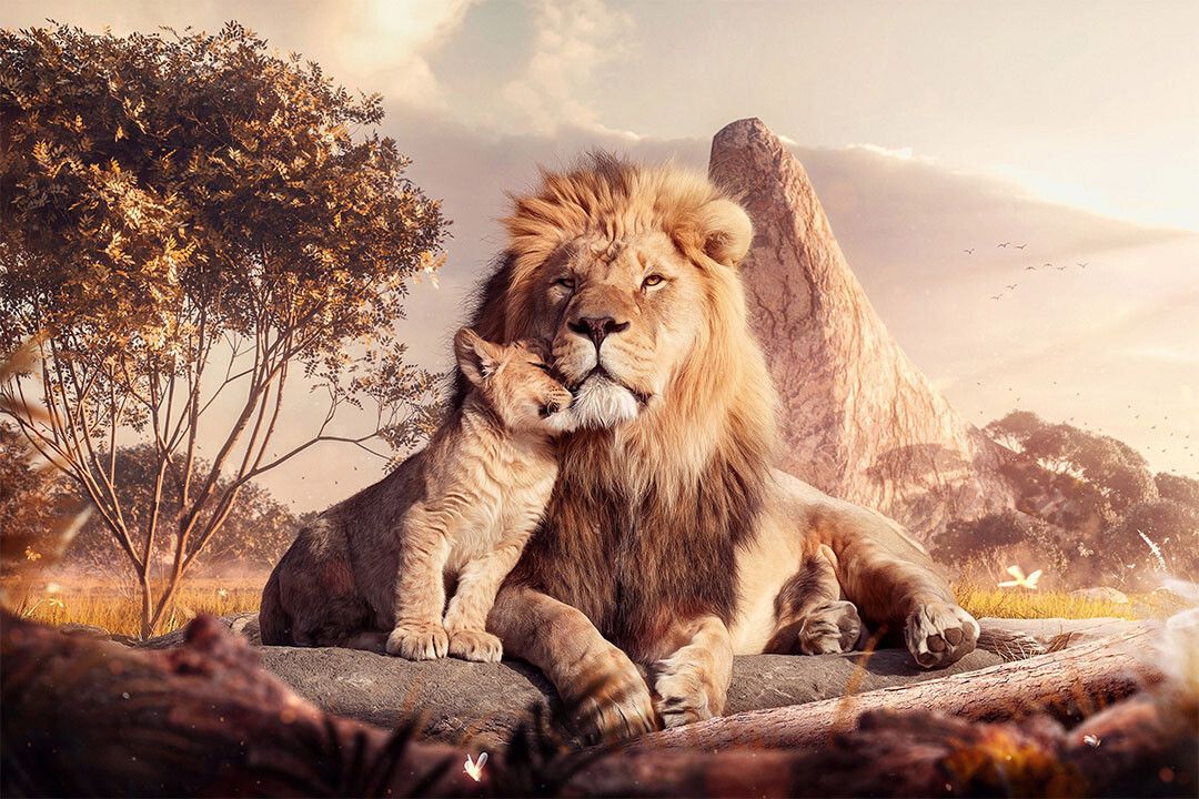 Lion Cub And Lion Reflection In Forest Water Animals Wall Home Poster