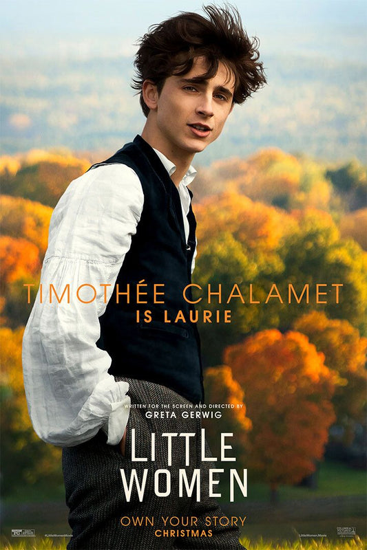 Little Women 2019 Movie Emma Watson Love Stories Wall Art Home Poster