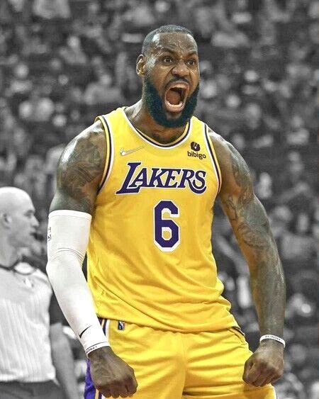 Los Angeles Lakers Lebron James Glossy Magnet Spotlight Basketball Print 2