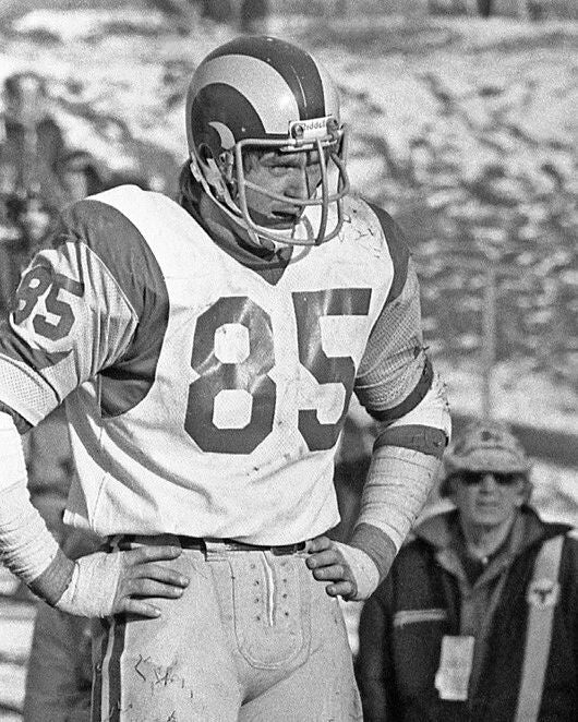 Los Angeles Rams Jack Youngblood Glossy Magnet Print Football Magnet Hof 01 1