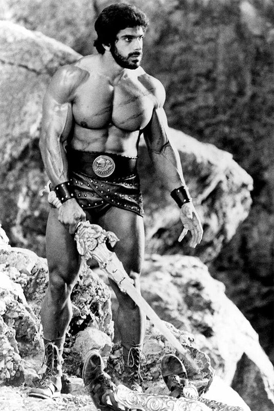 Lou Ferrigno Hercules Movie Greek Mythology Art Home Decor Poster