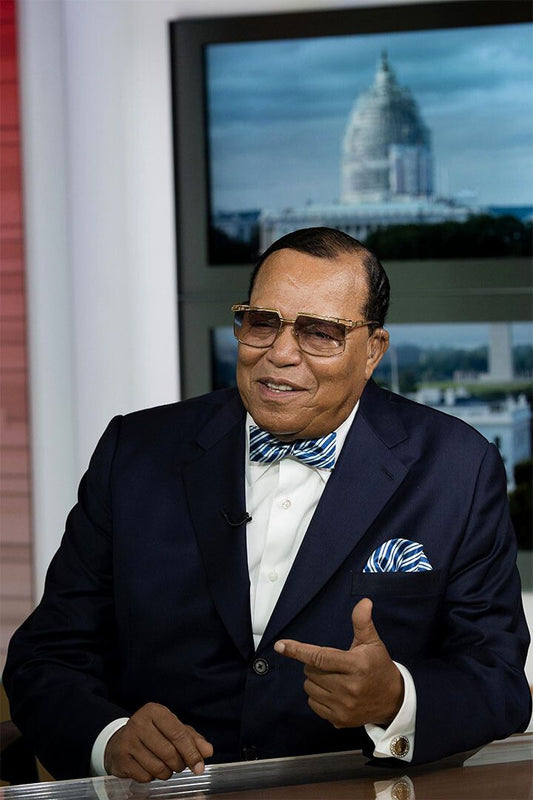 Louis Farrakhan Giving Speech Vintage Painting Wall Home Decor Poster