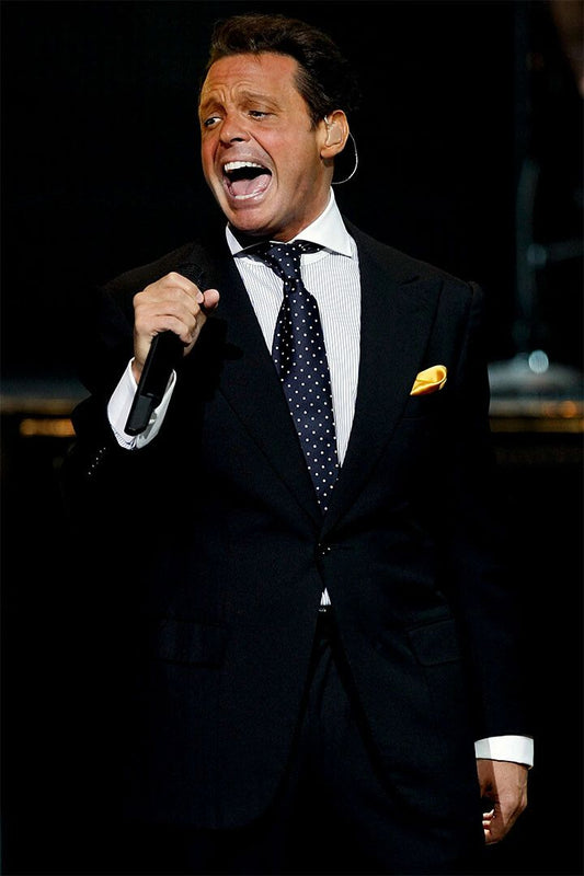 Luis Miguel Latin Male Singer Music Event Singing Wall Art Home Poster