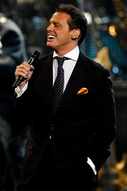 Luis Miguel Latin Male Singer Music Event Singing Wall Home Decor Poster