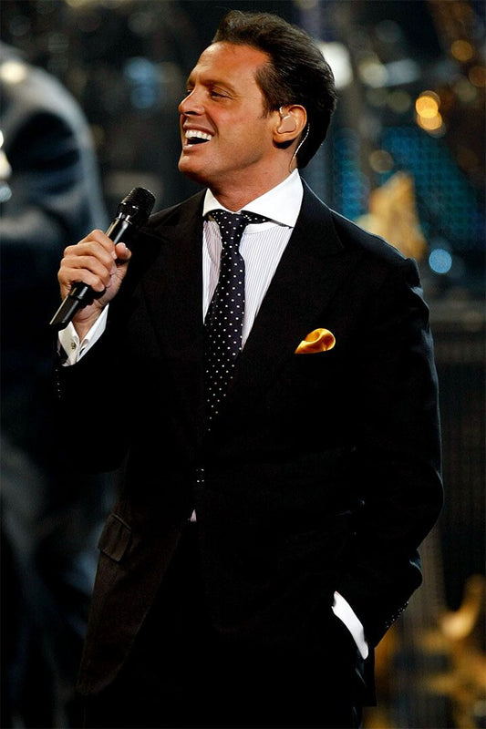 Luis Miguel Latin Male Singer Music Painting Wall Art Home Decor Poster