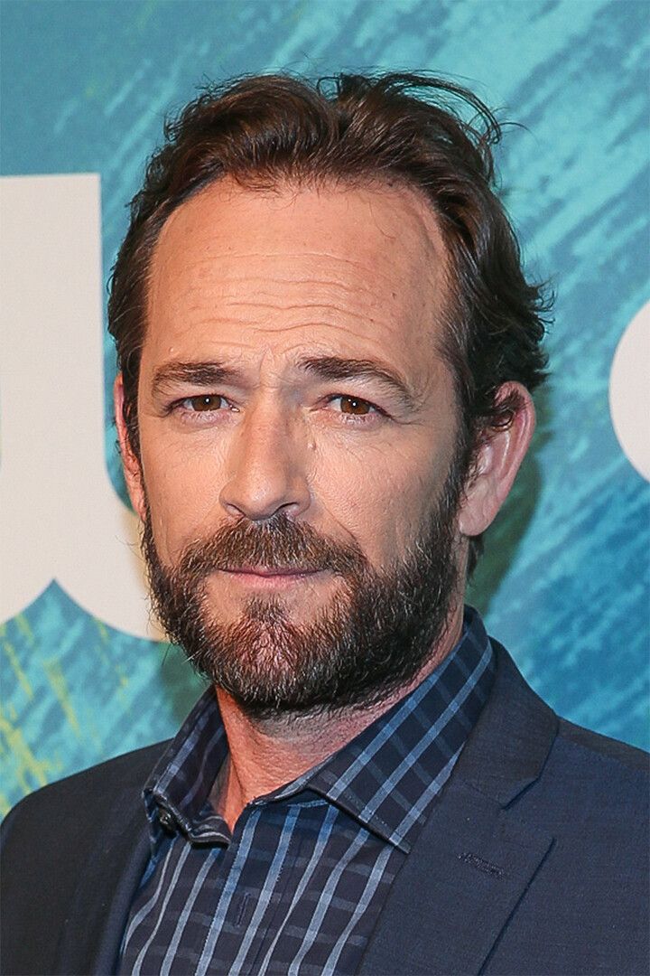 Luke Perry Celebrity Cinema Actor Artist Star Wall Art Home Decor Poster