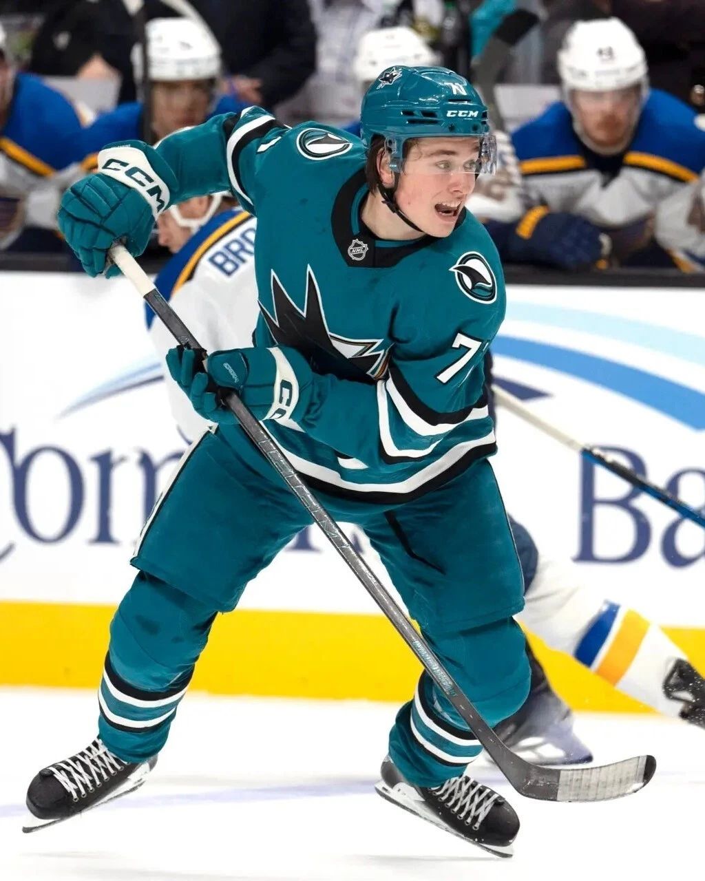 Macklin Celebrini Photo Hockey San Jose Sharks Nhl 300 Piece Jigsaw Puzzle