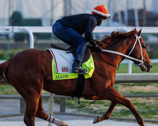 Mage Photo Horse Racing Picture Jockey