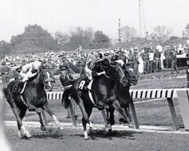 Majestic Prince Photo Horse Racing Picture Jockey Race Action