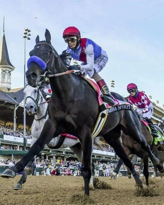 Medina Spirit Photo Horse Racing Picture