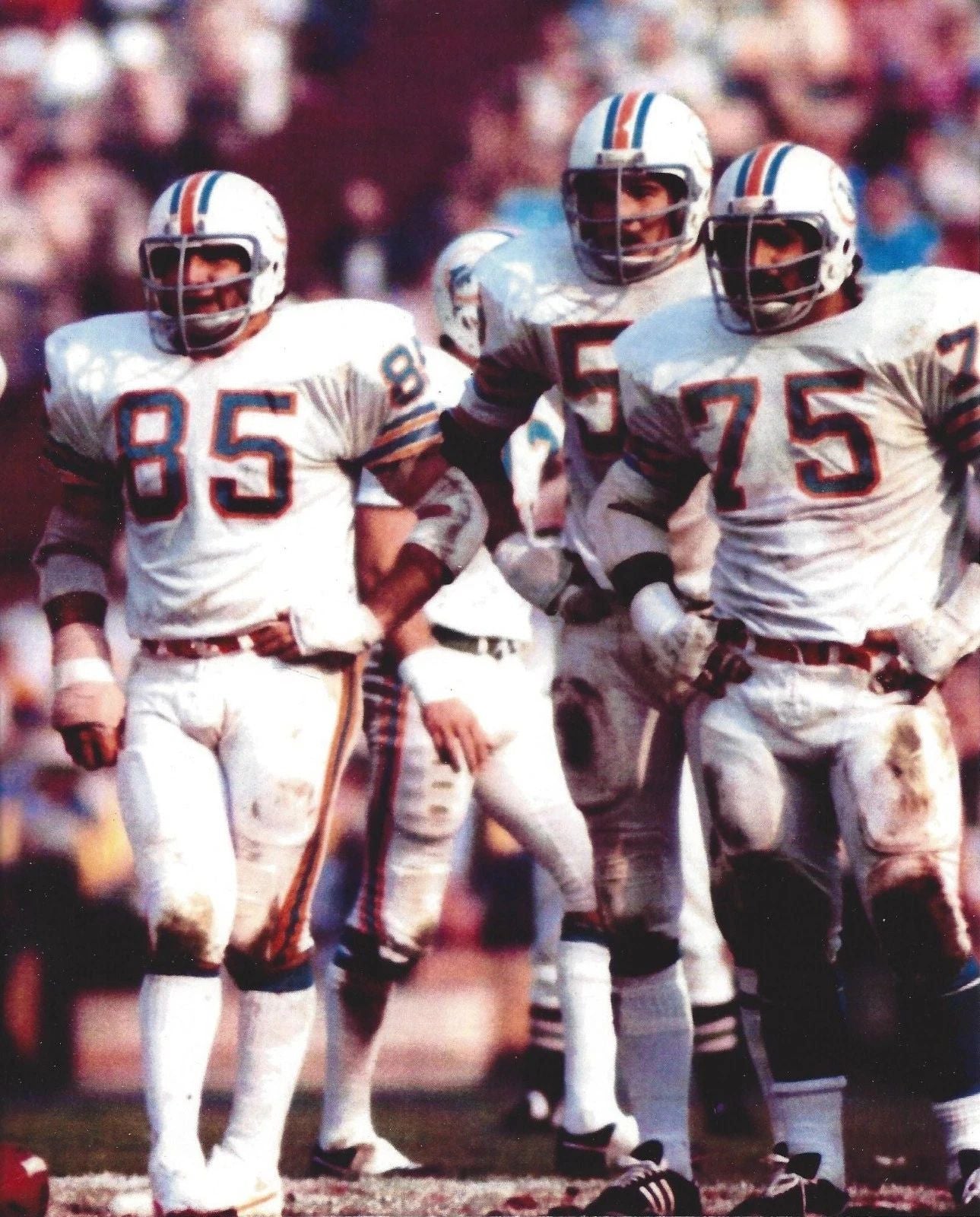 Miami Dolphins No Name Defense Magnet Picture Nfl Football