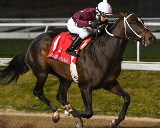 Midnight Bourbon Photo Horse Racing Picture Action Jockey