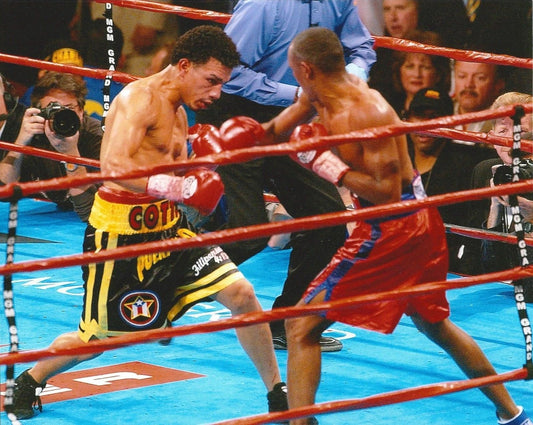 Miguel Angel Cotto Photo Boxing Picture Ring Action