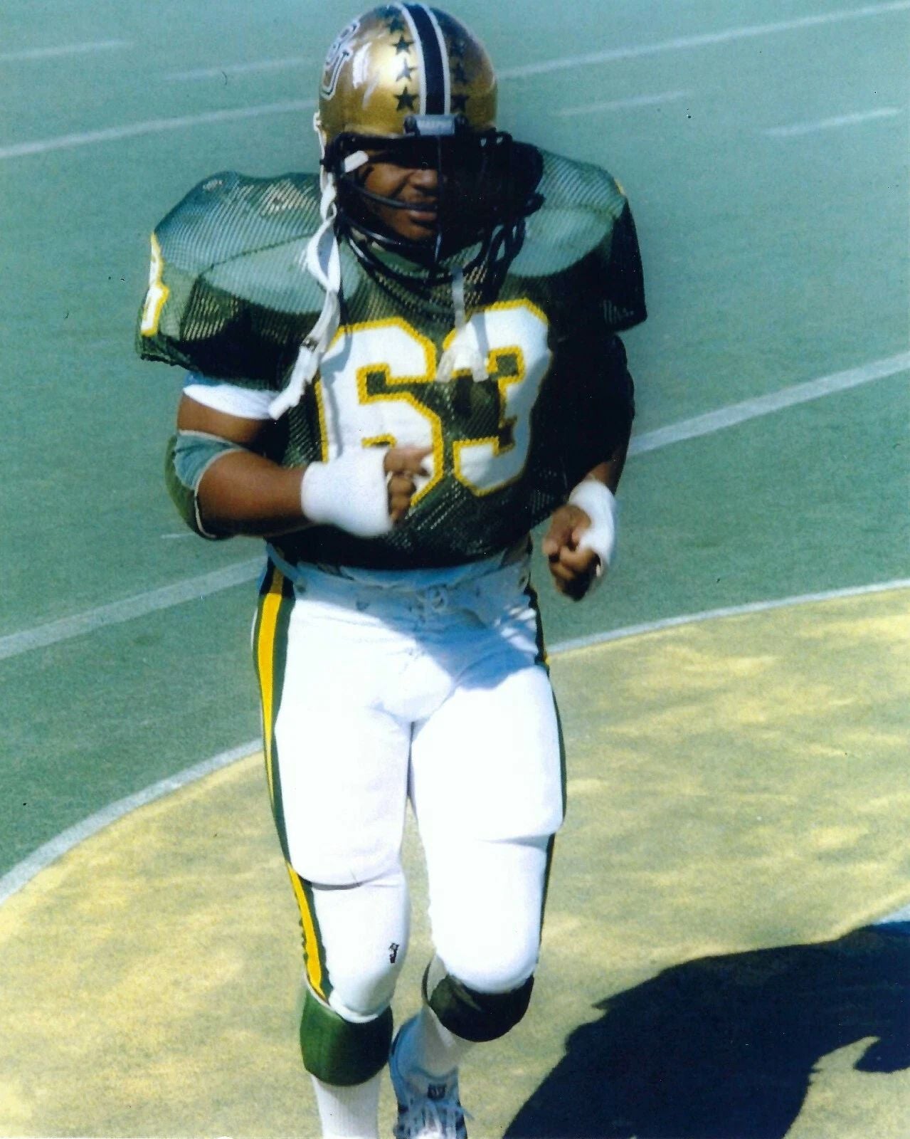 Mike Singletary Photo Baylor Bears Picture Football University Ncaa