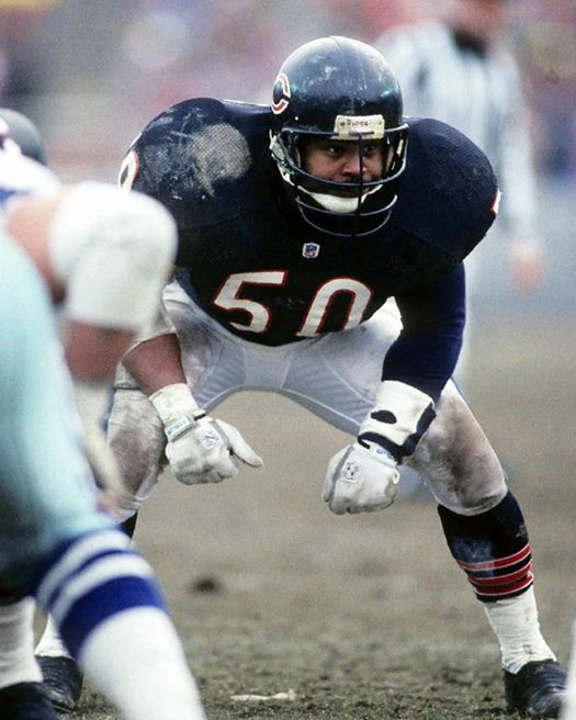 Mike Singletary Photo Chicago Bears Picture Nfl