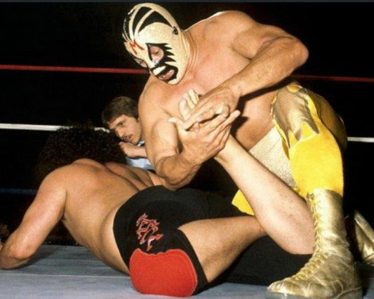 Mil Mascaras Magnet Wrestling Picture Wwf