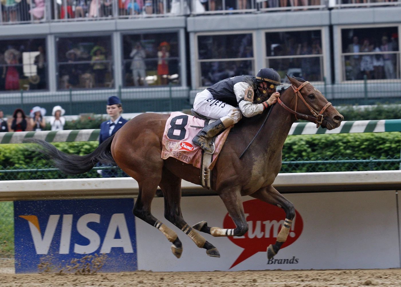 Mine That Bird Photo Horse Racing Picture Jockey Race Action