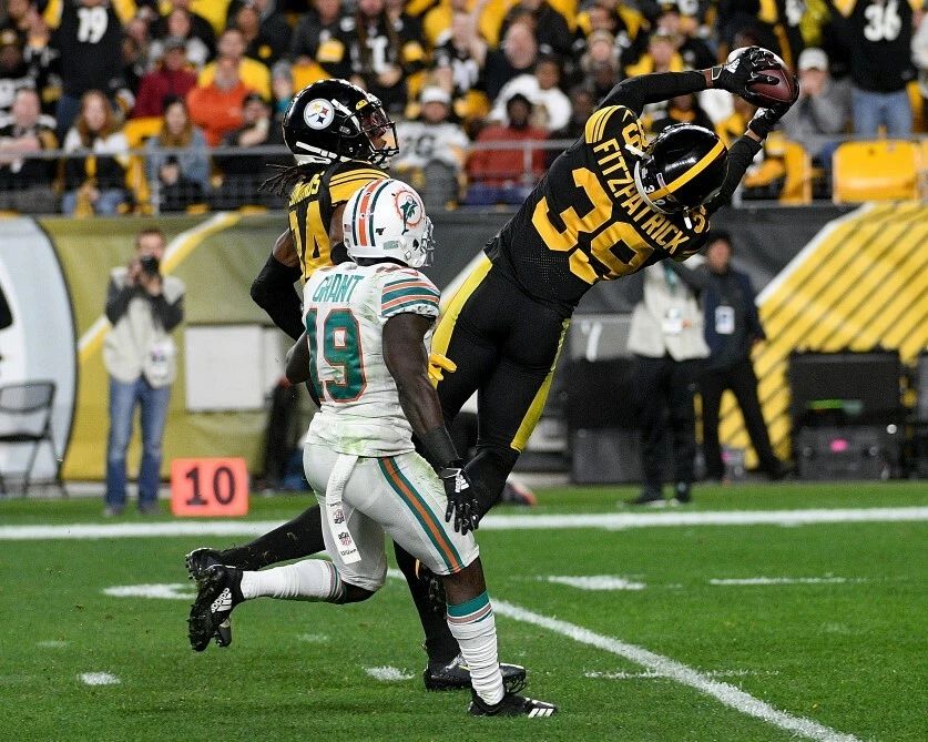 Minkah Fitzpatrick Photo Pittsburgh Steelers Picture Football Vs Dolphins