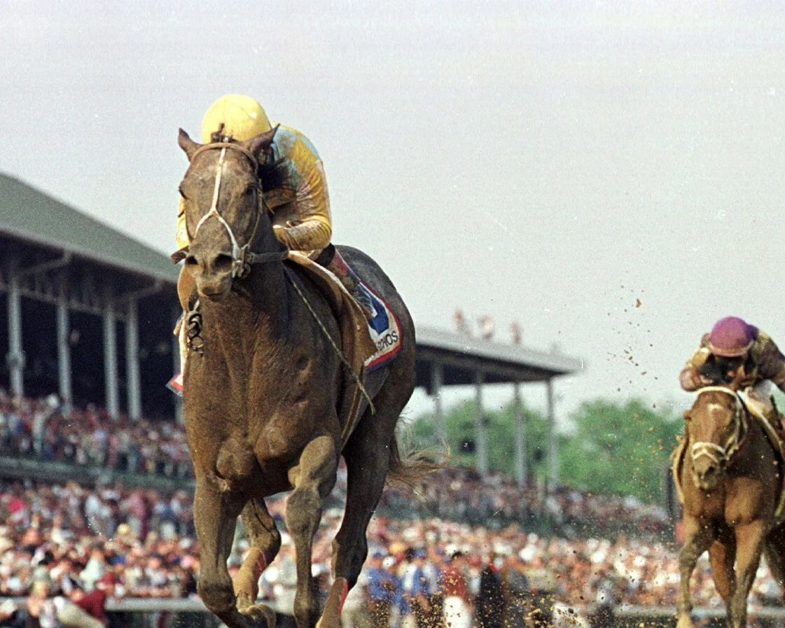 Monarchos Photo Horse Racing Picture
