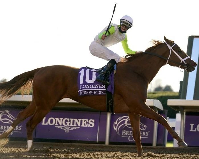 Monomoy Girl Photo Horse Racing Picture Action