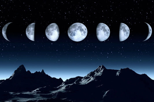 Moon Phases Cycle Magnet Magnet Picture Print Sun Moon Orbit Lunar