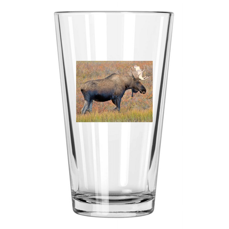 Moose Photo Animal Wall Art Mammal Nature Pint Beer Drinking Glass