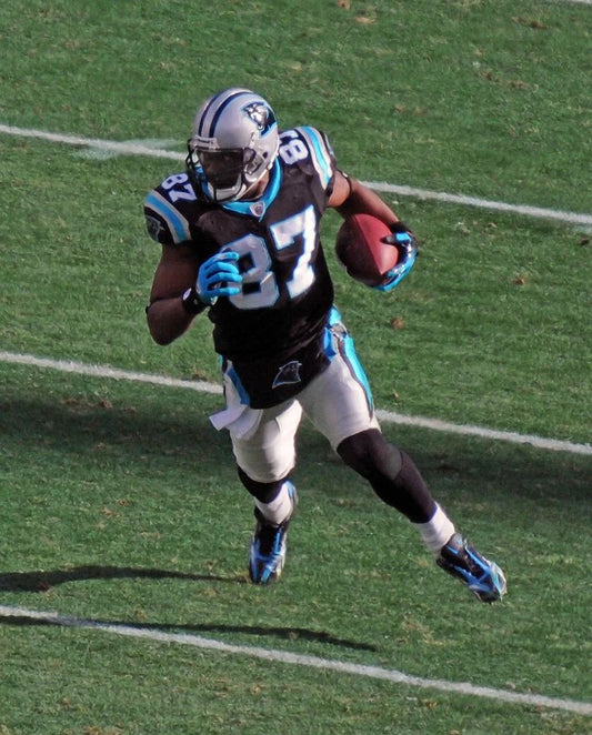 Muhsin Muhammad Magnet Carolina Panthers Picture Nfl Football
