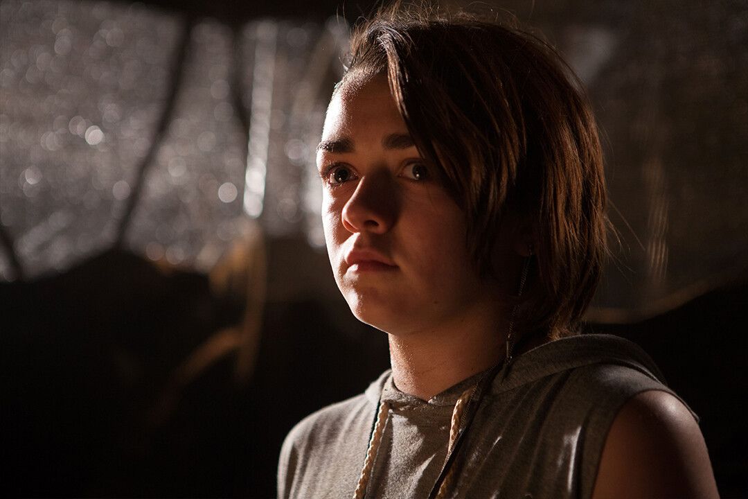 Maisie Williams Arya Celebrity Cinema Actor Jigsaw Puzzle