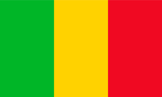 Mali Flag Keychain