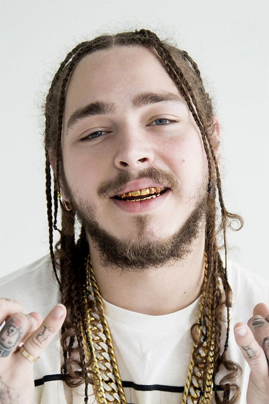 Malone Hip Hop Rap Music Singer Star Artist Wall Art Home Decor Poster
