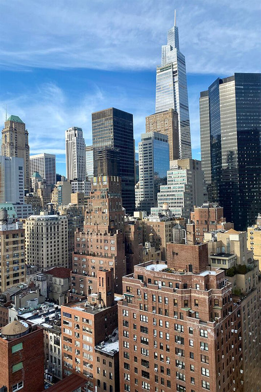 Manhattan Landscape Cultural Center Print Canvas Wall Art Home Poster