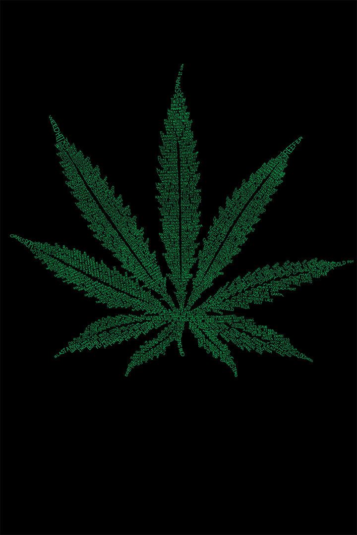 Marijuana Theme A Wiser Bud Painting Print Wall Art Home Decor Poster