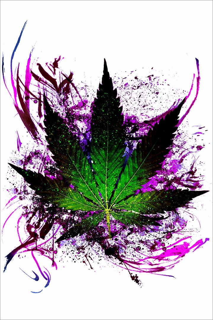 Marijuana Theme High Theme Blackligh Flocked Wall Art Home Decor Poster