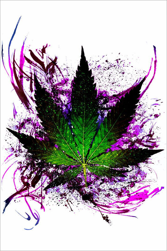 Marijuana Theme High Theme Blackligh Flocked Wall Art Home Decor Poster