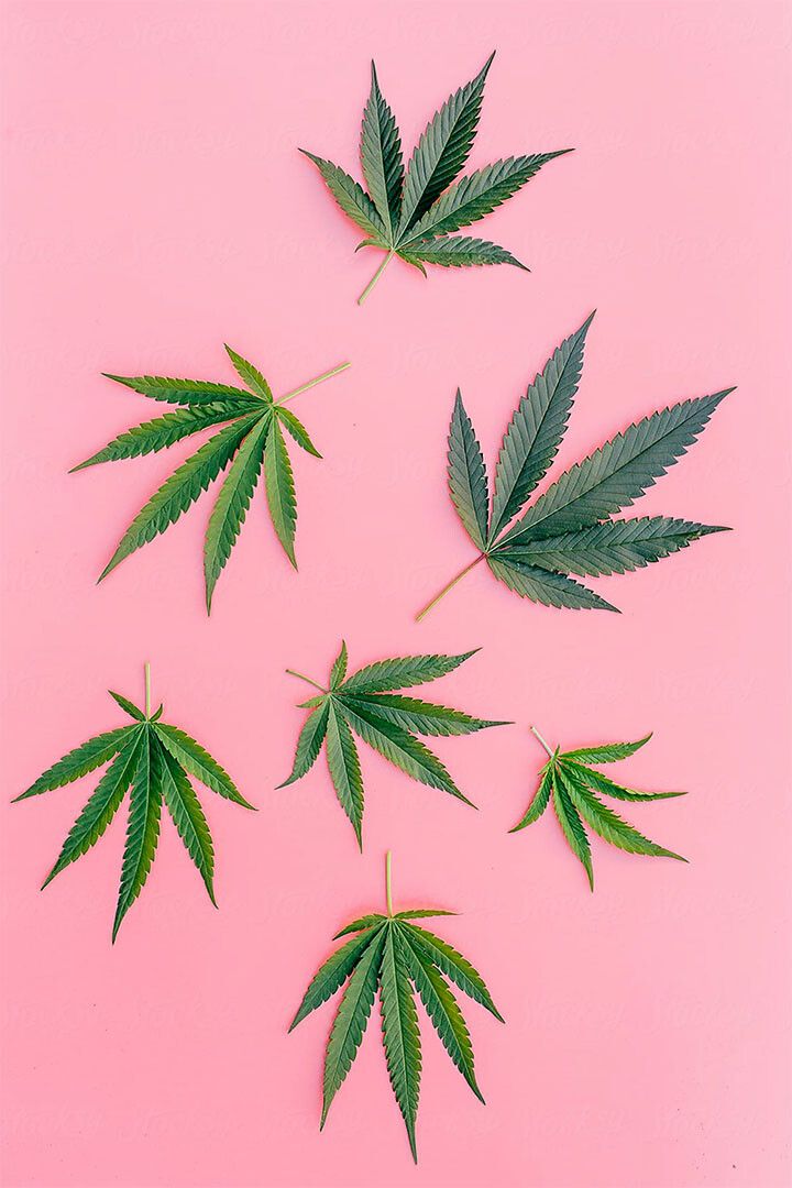 Marijuana Theme Hookah Party Painting Print Wall Art Home Decor Poster