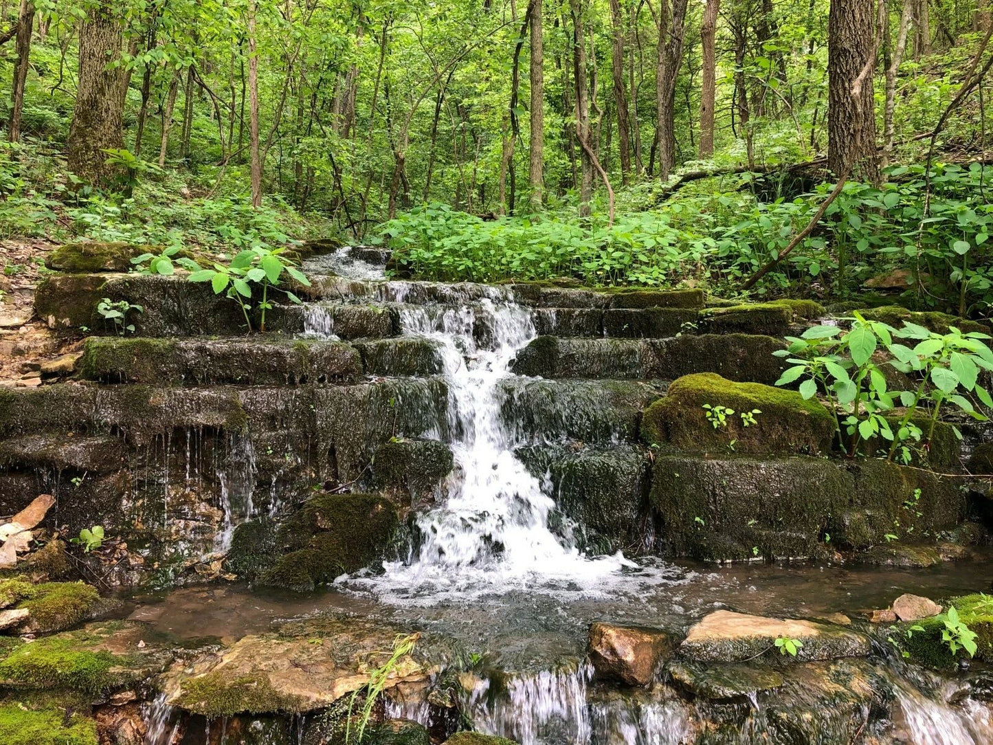 Mark Twain National Forest Lampe Missouri Poster Picture Photo Waterfall River
