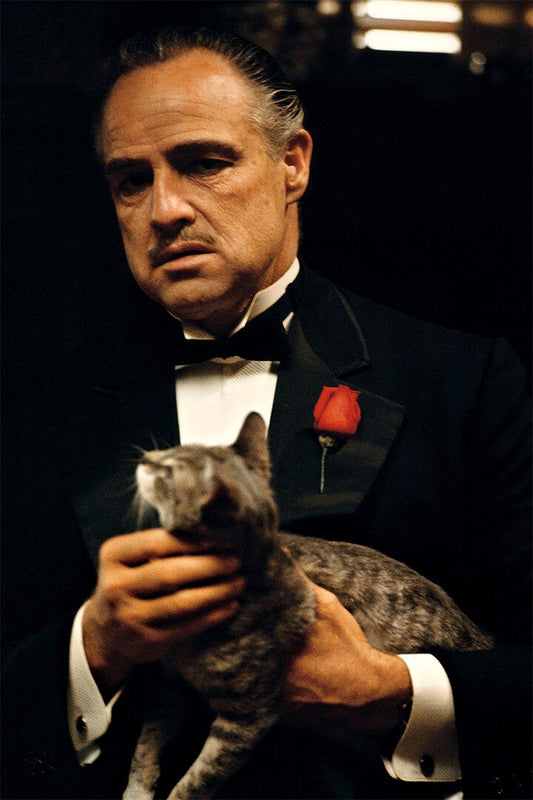 Marlon Brando In The Godfather Movie Crime Wall Art Home Decor Poster
