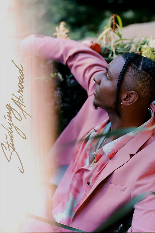 Masego Album Studying Abroad Music Print Jigsaw Puzzle