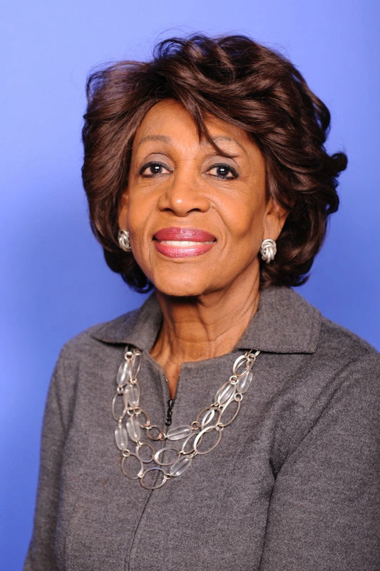 Maxine Walters California House Of Representatives Picture Poster Photo Print