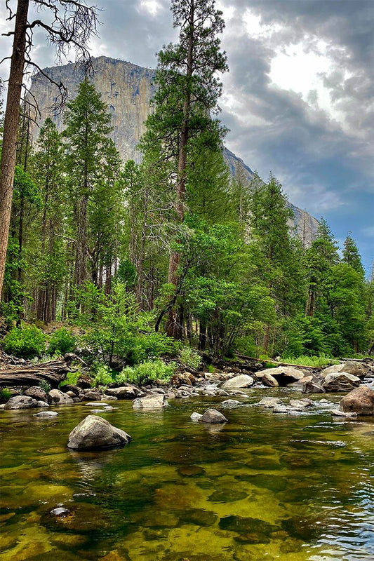 Merced River In Yosemite Landscape Picture Jigsaw Puzzle