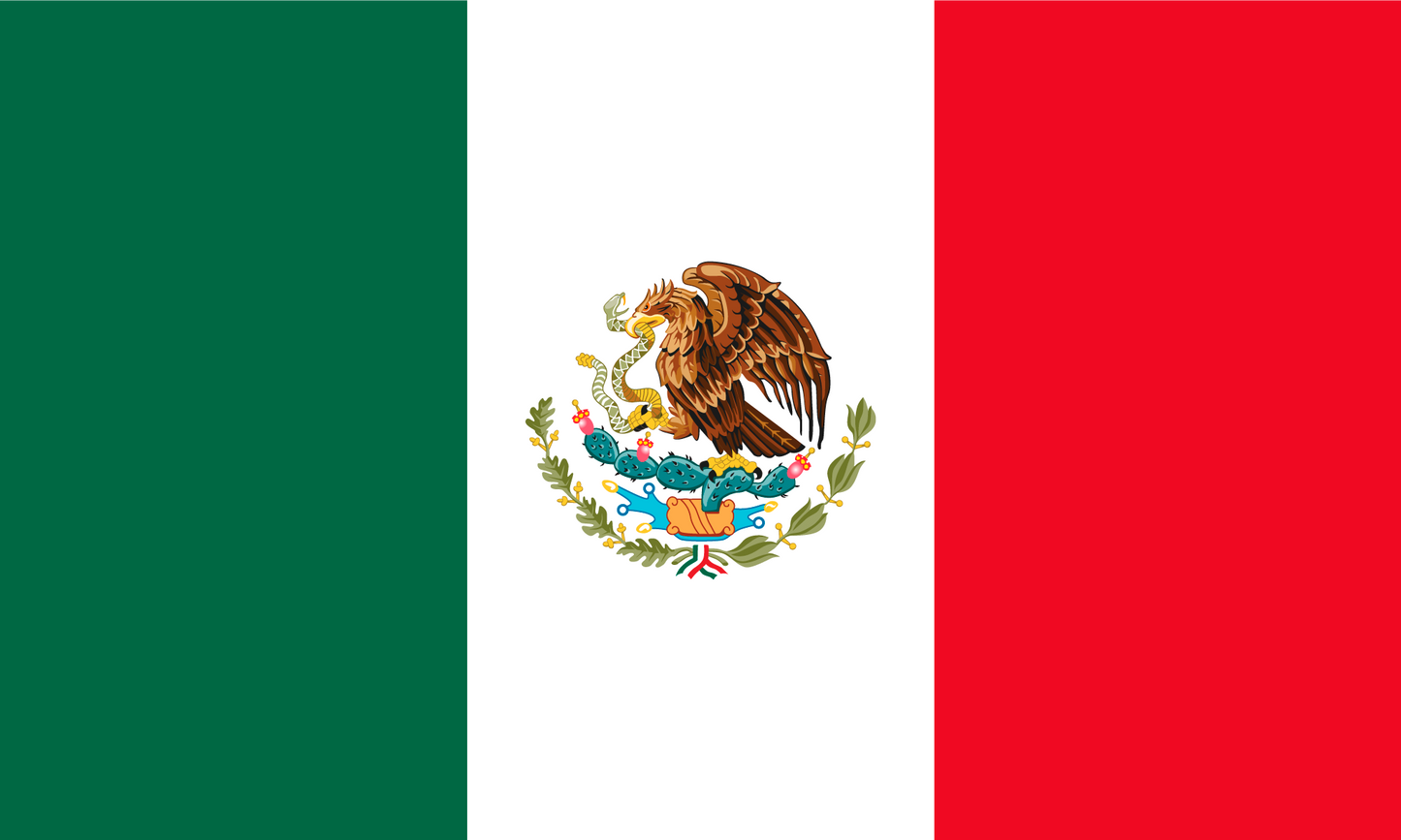 Mexico Flag Keychain