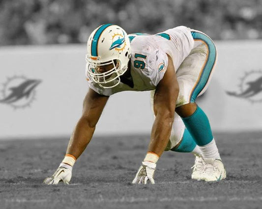Miami Dolphins Cameron Wake Glossy Photo Spotlight Football Print Poster