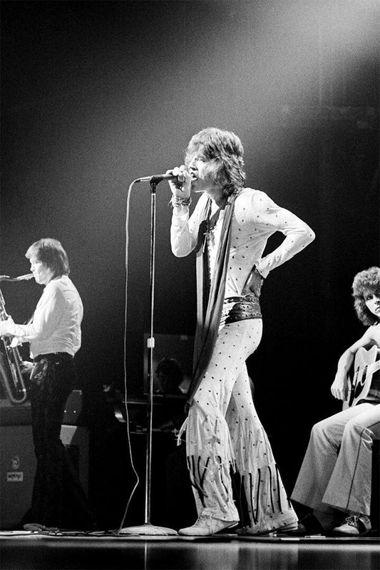 Mick Jagger Singing Musician Actor Print Painting Jigsaw Puzzle