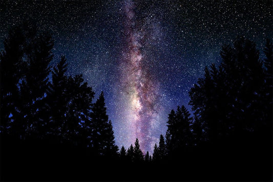 Milky Way Jigsaw Puzzle Space Galaxy Universe Starry Night Print Jigsaw Puzzle