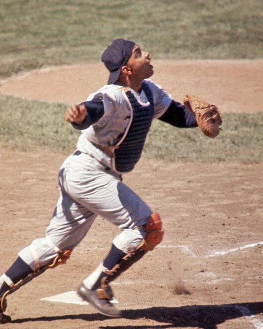 Minnesota Twins Earl Battey Glossy Photo Poster Baseball Print