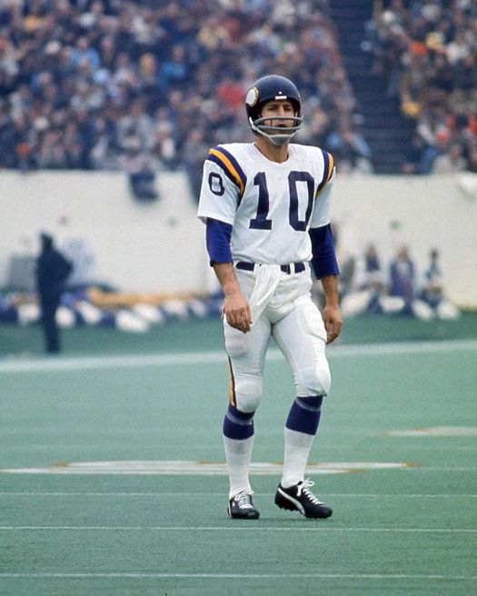 Minnesota Vikings Fran Tarkenton Glossy Photo Football Print Poster