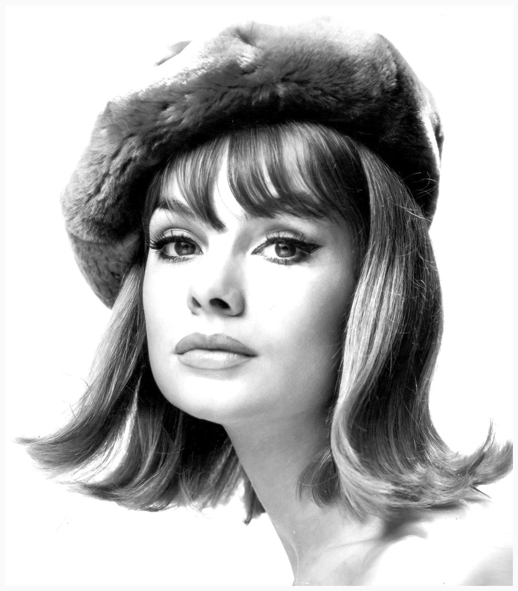 Model & Actress Jean Shrimpton Portrait Picture Photo Print 5 X 7